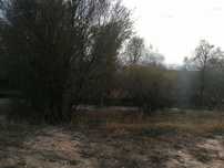 Земельный участок бод бизнес в Тулкубасе село Вановка