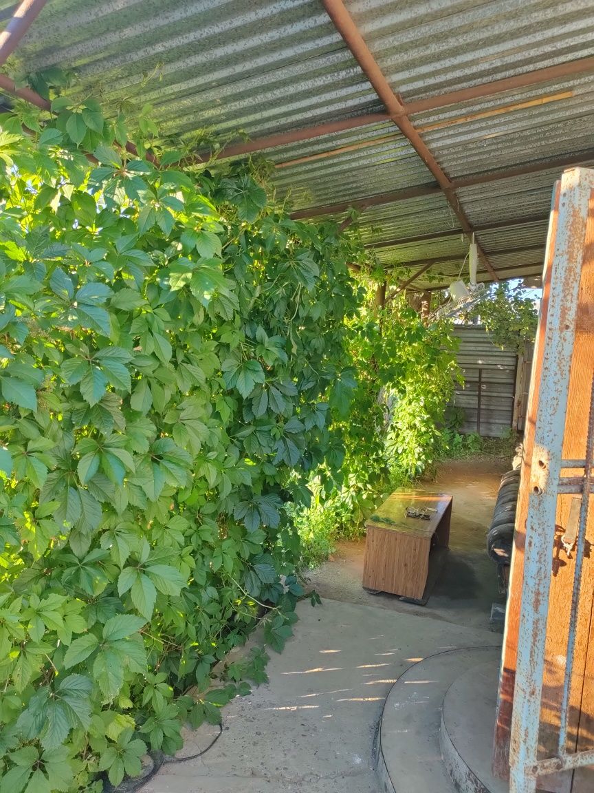 Продам дачу на Солнечной поляне