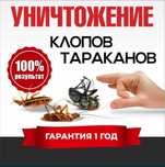 ‼️ Дезинсекция Караганда| Обработка от ТАРАКАНОВ и КЛОПОВ