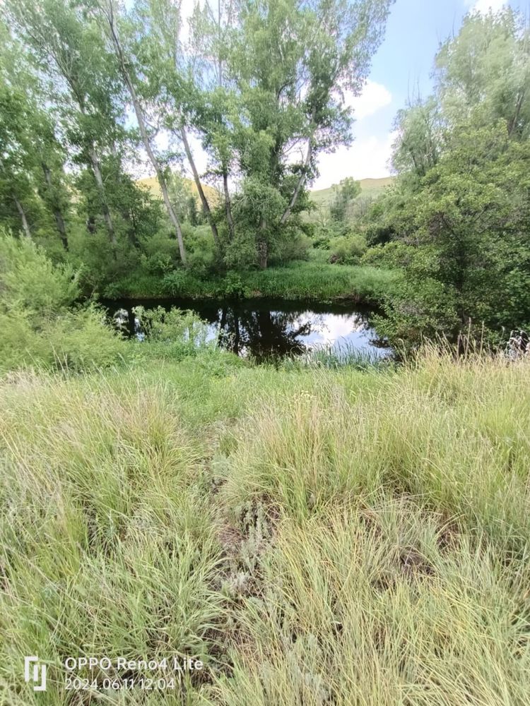 Крестьянское хозяйство