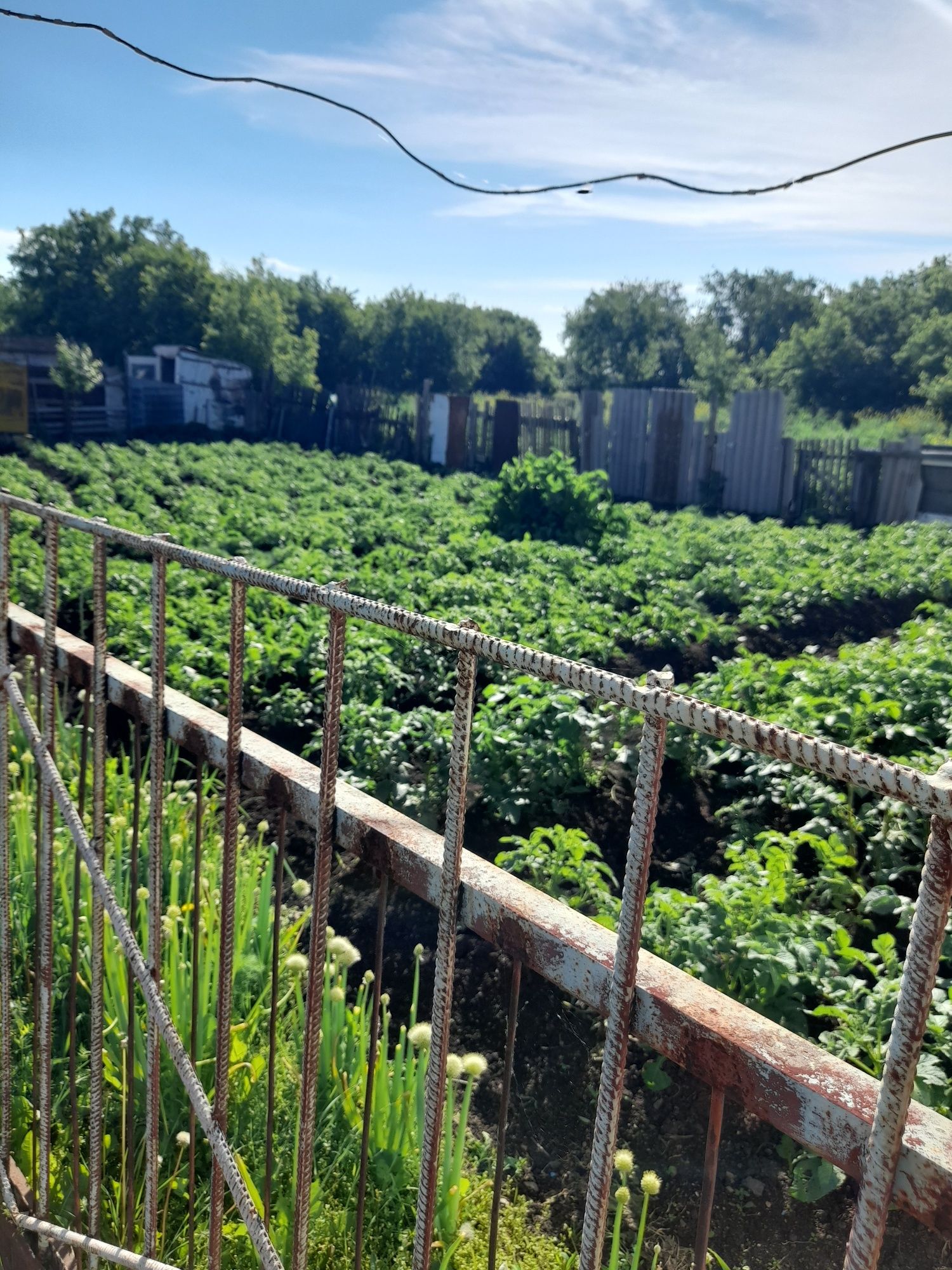Продам дом в селе Симферополь 20 км от Кокшетау
