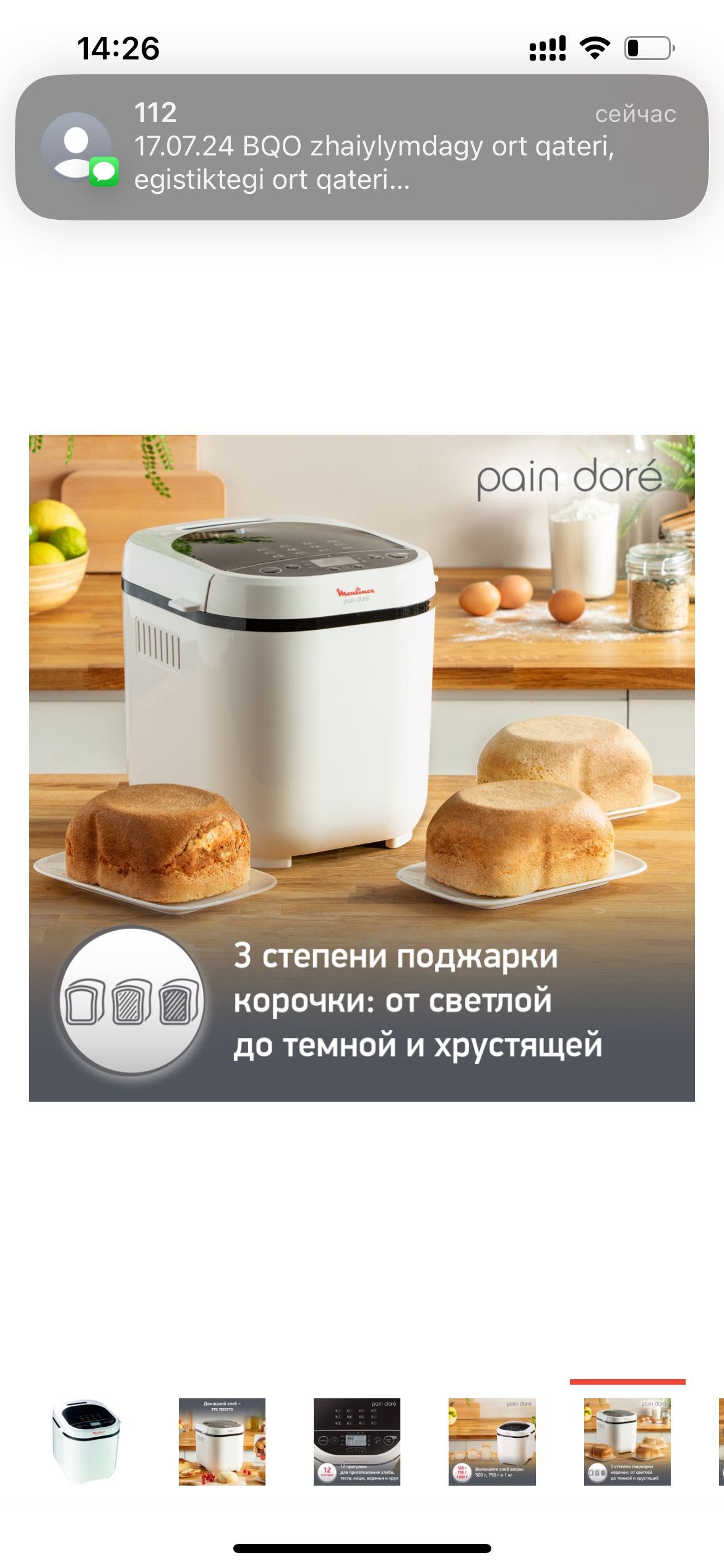 Хлебопечь Moulinex OW2101