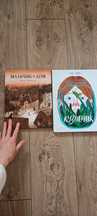 Книги без текста Кузнечик / Мальчик и дом