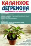 Продам лечебнное растения каланхоэ