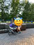 Продам коляску Anex sport 2в1