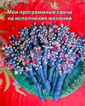 Програмные свечи