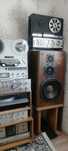 Акустика DIATONE DS-77Z