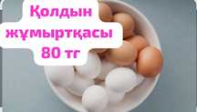 Домашнее яйцо,жұмыртқа домашний
