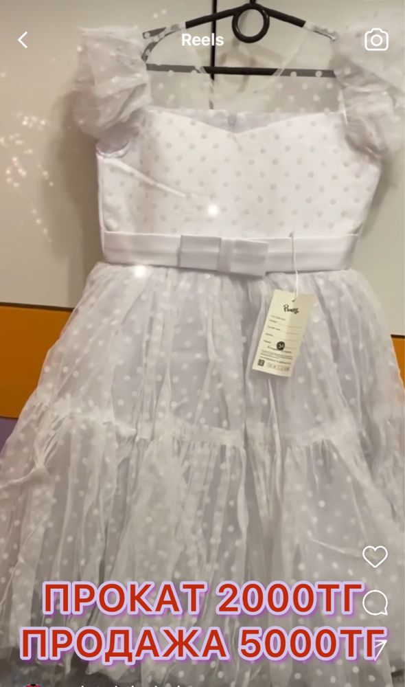 продам или прокат