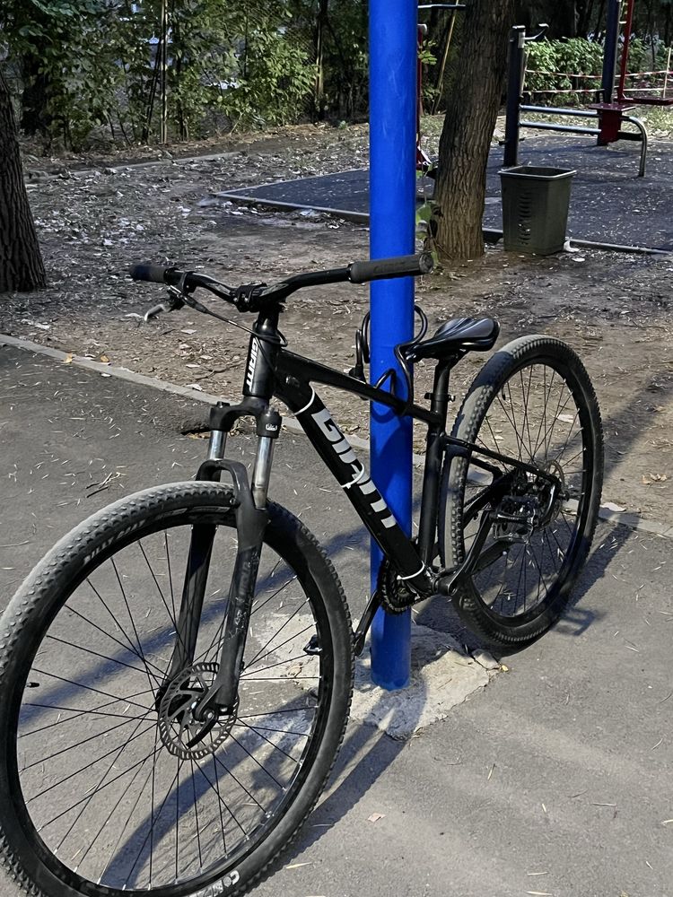 Giant talon 2 2021