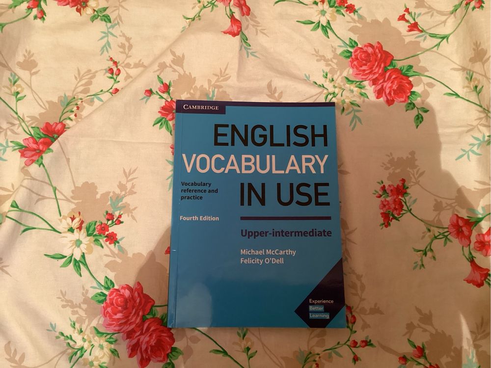 English grammar in use (синий мерфи)