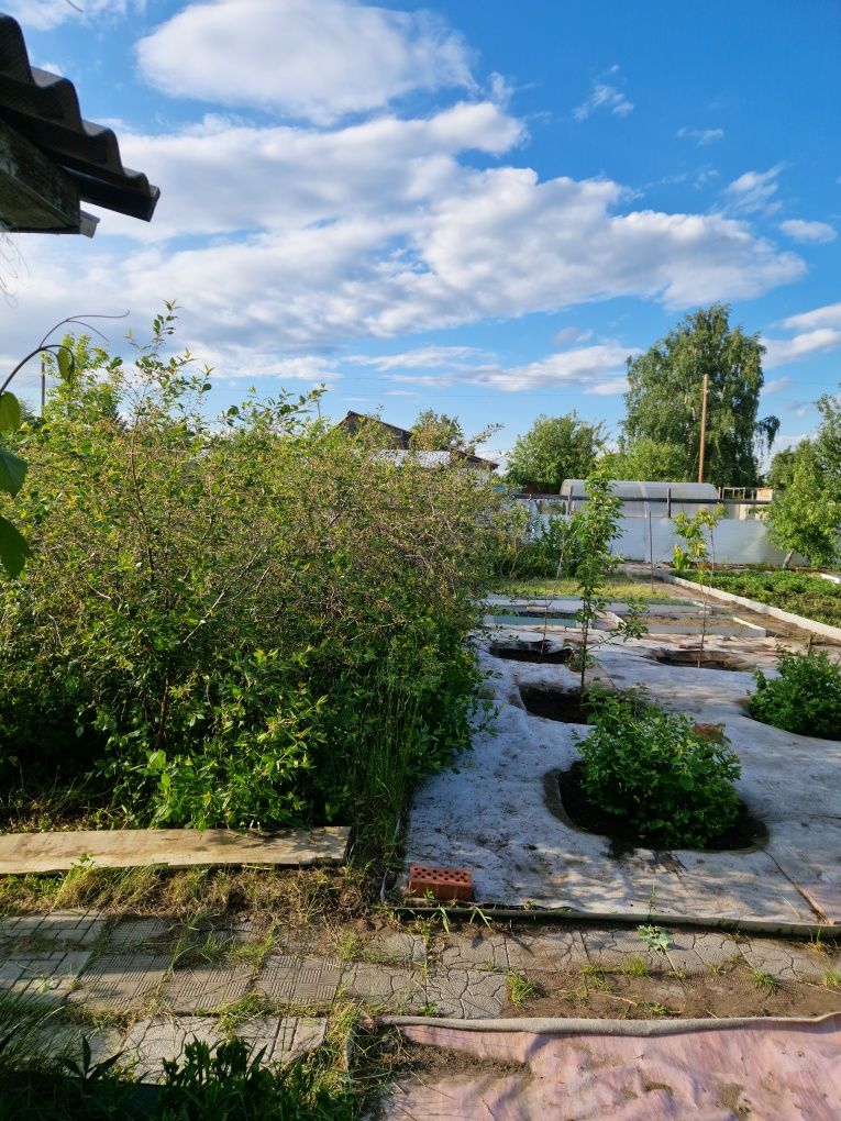 Продам дачу со Автлмобилист