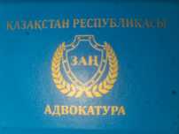 Адвокатура помощь в Уголовных. Гражданских и административных делах