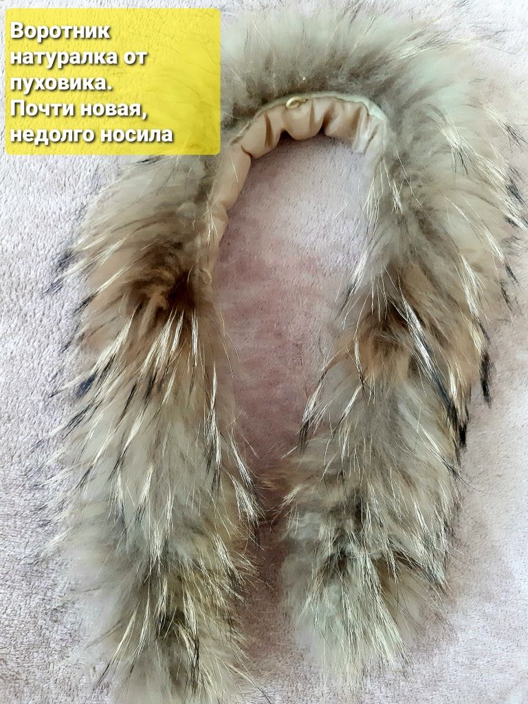Кепка Шапки взрослые меховой воротник песец шапка