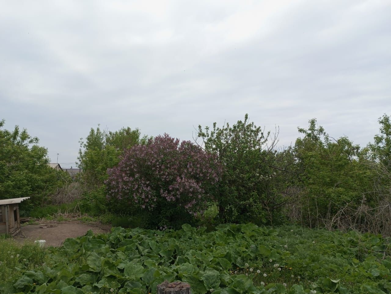 Продам дом в село Айет