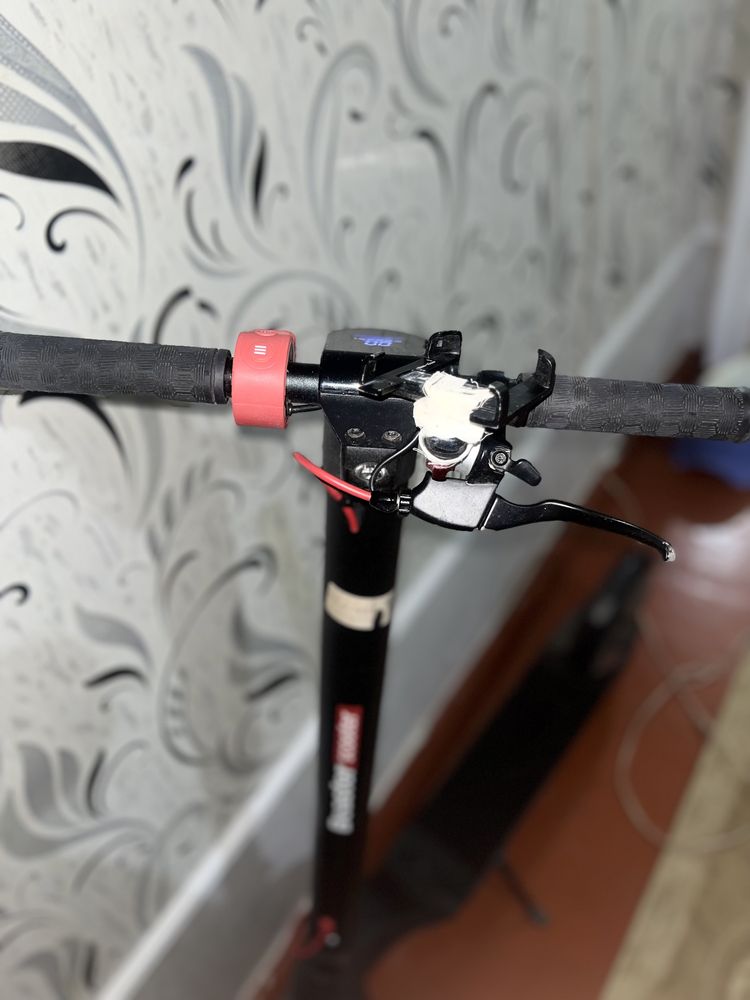 Beaster scooter