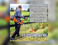 Покос травы, подготовка дачи к сезону.