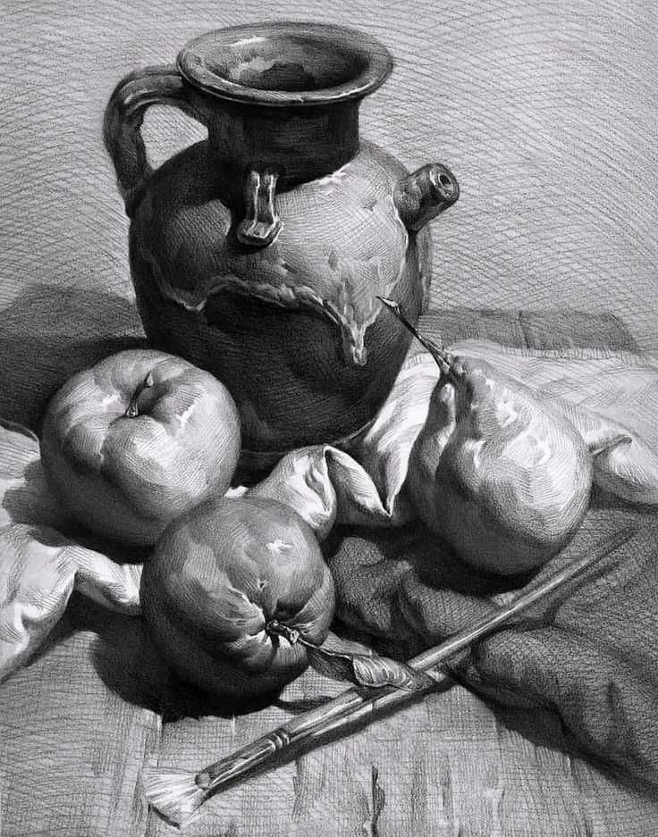 Курсы рисования. Рисунок и живопись