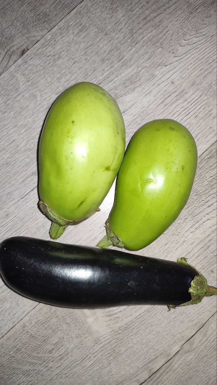 Продам дачные овощи