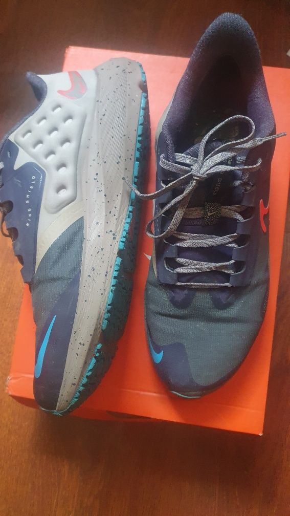 Кроссовки Nike  pegasus 39 shield