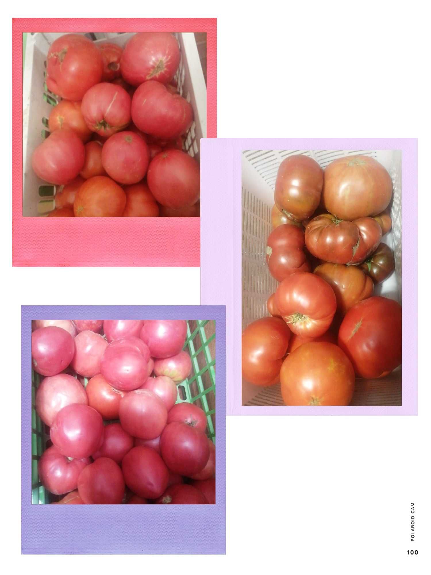 Продам помидоры домашние