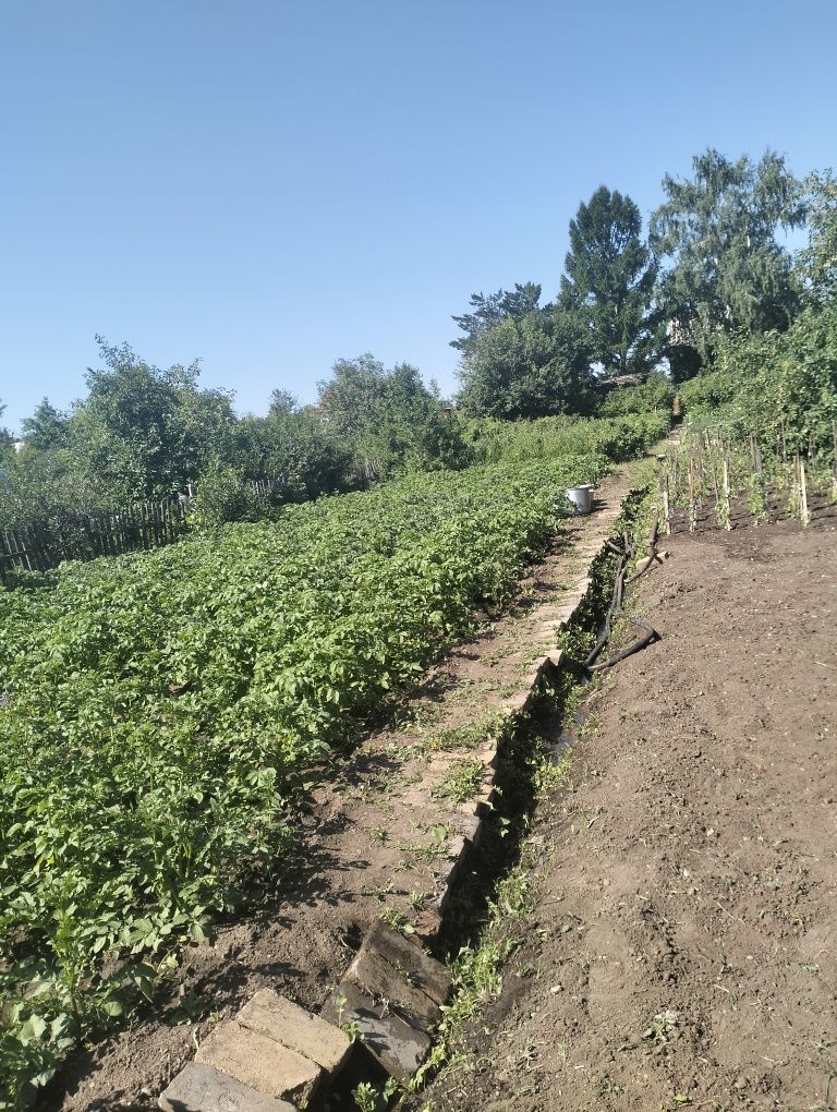 Продается Дача в Обществе трест МЖС