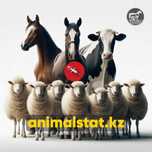 Чип для животных Астана чипирование микрочип AnimalStat идентификация