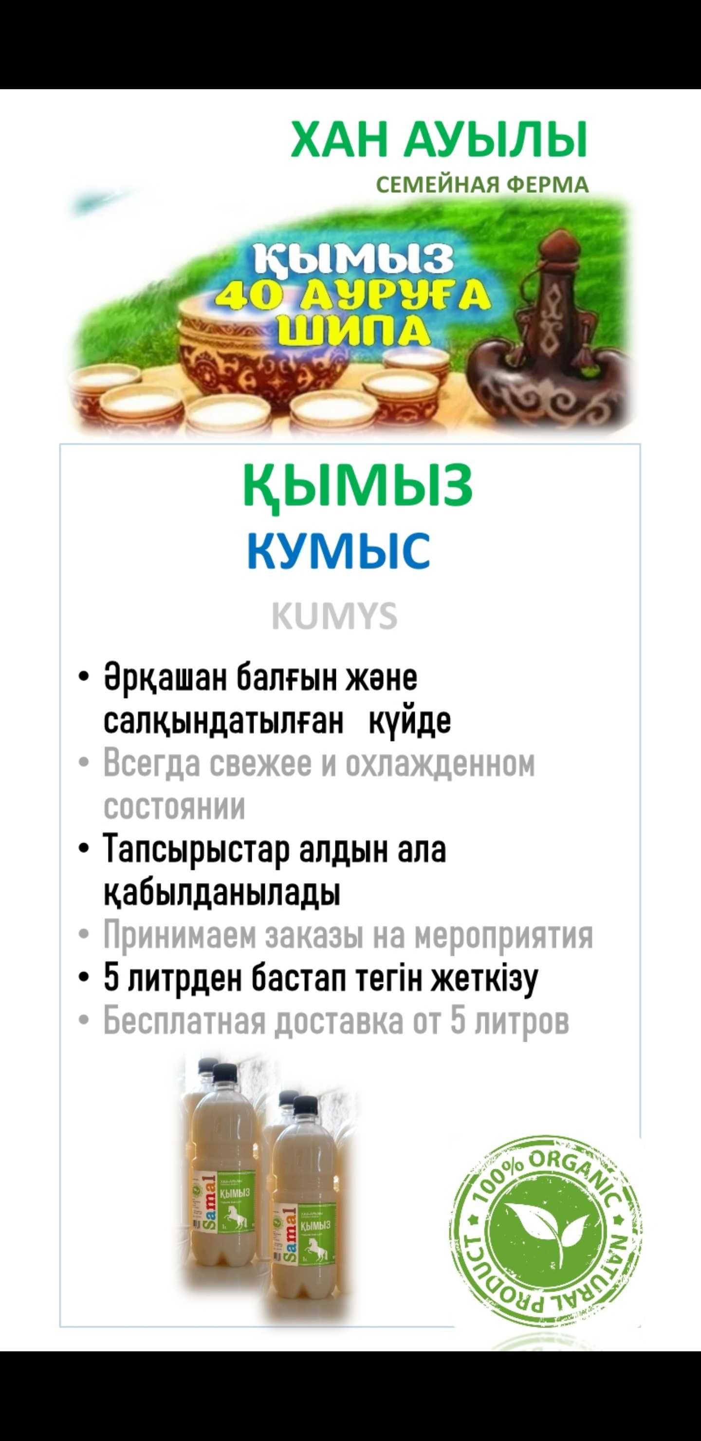 Саумал Кымыз свежее, по графику