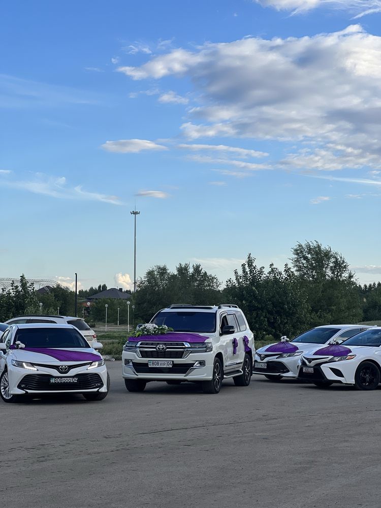Картедж Кортеж Роддом Трансфер Выписка Аренда Авто Прадо Крузак 200
