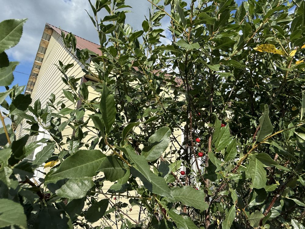 Продам ДОМ с мебелью, с техникой!