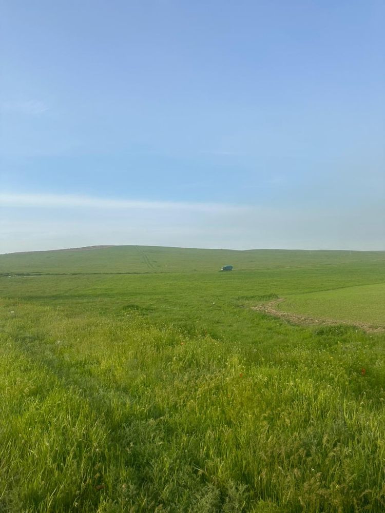 Продам кх по 50 соток