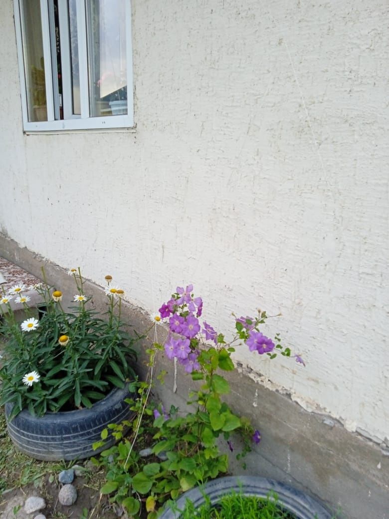 Продам дом в Ащибулаке