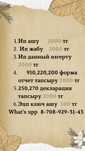 ИП ашу,жабу, отчёты