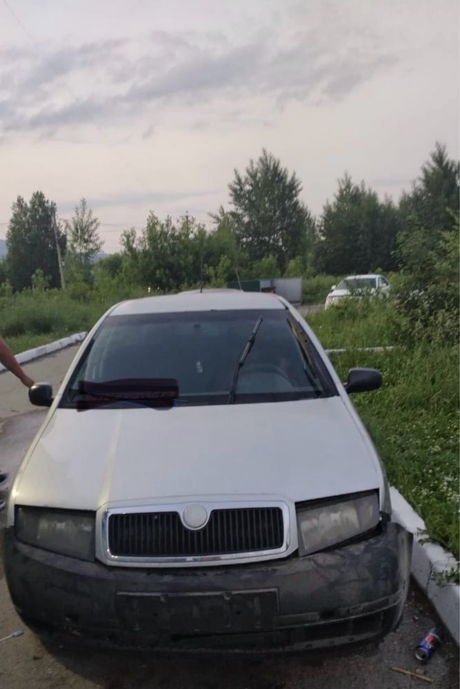 Автомобиль шкода фабия