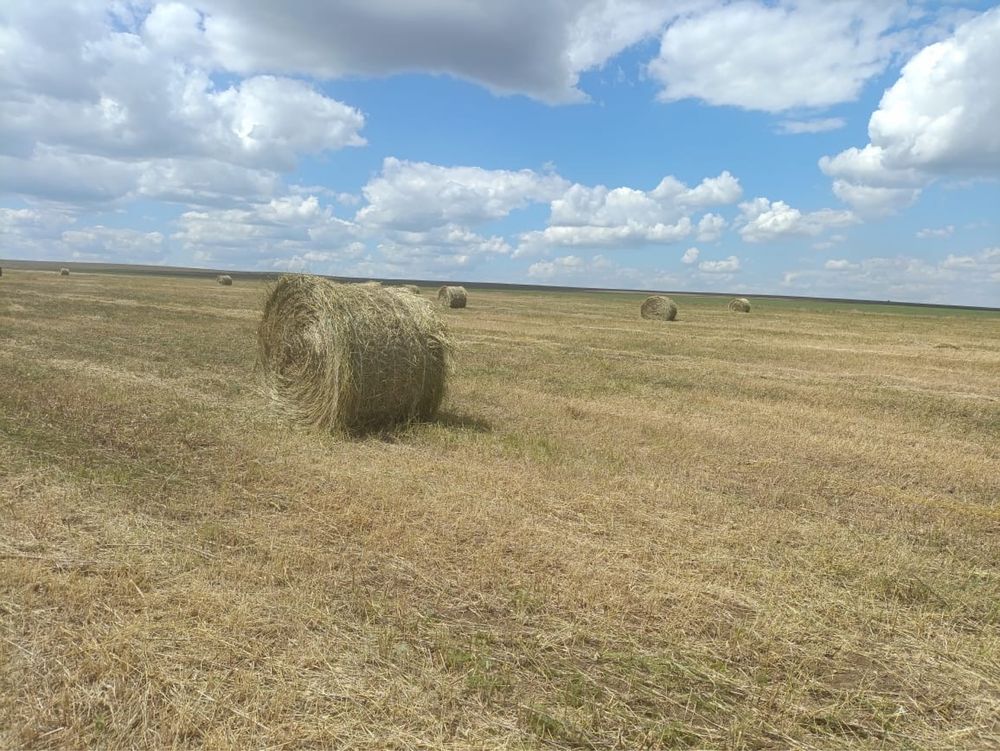 Сено с доставкой