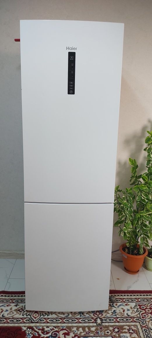 Холодильник haier