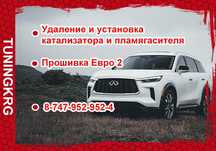 Удаление и установка катализаторов, сажевых фильтров, EGR, чип тюнинг.