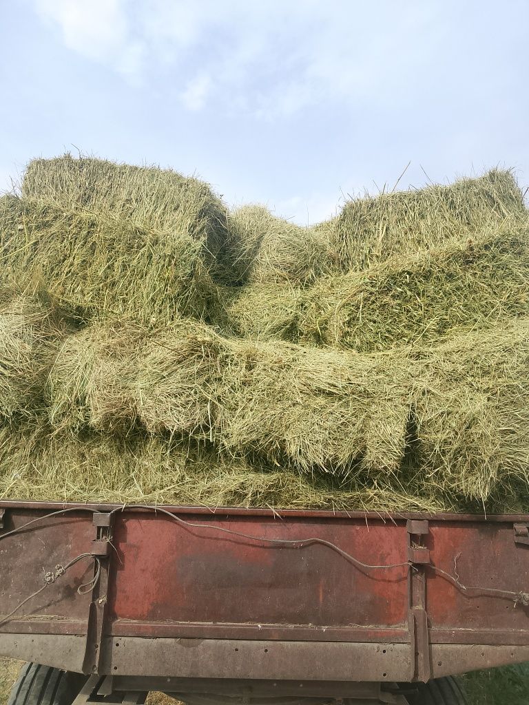Сено тюкованое, разнотравье