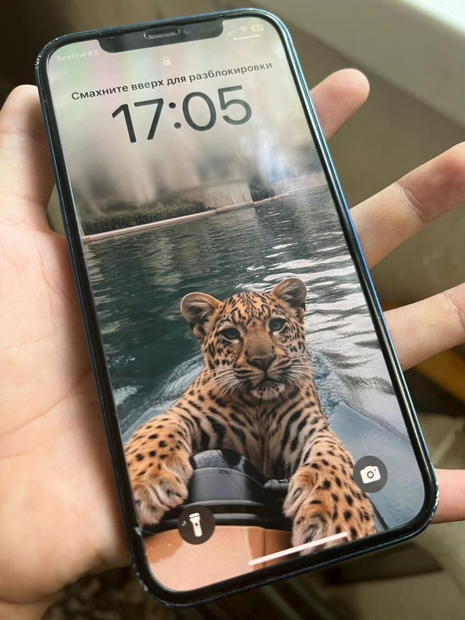 Айфон 12 iphone 12