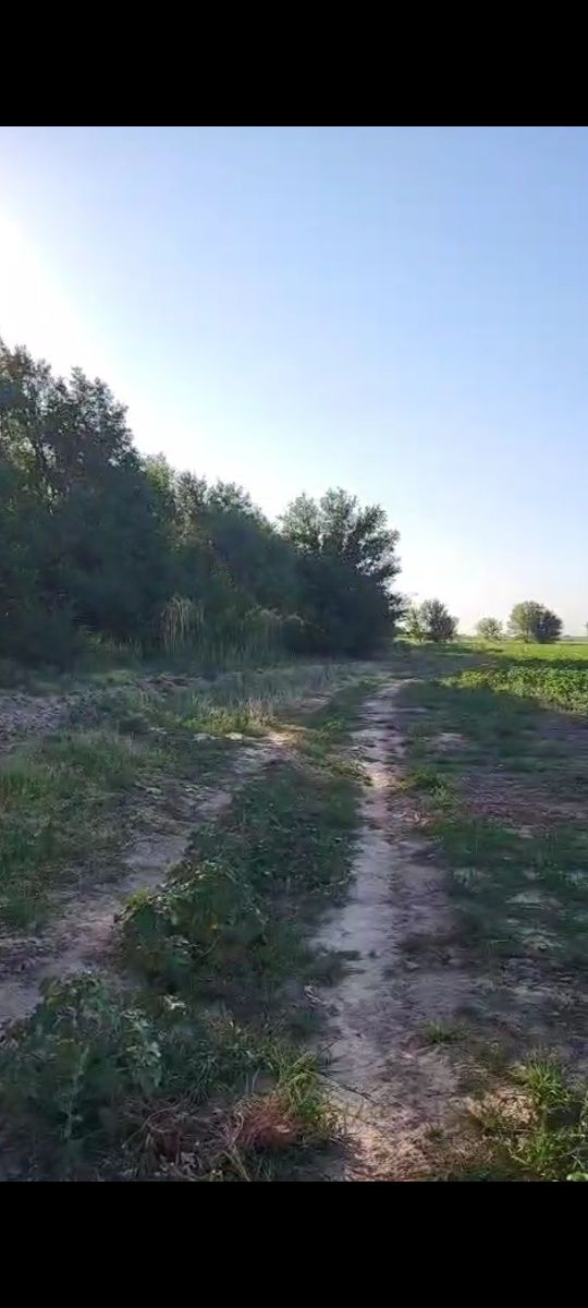Трасса бойындағы ауылшаруашылық жер. (МемАкт, 2.3 га жалға 49 ж. 1993ж