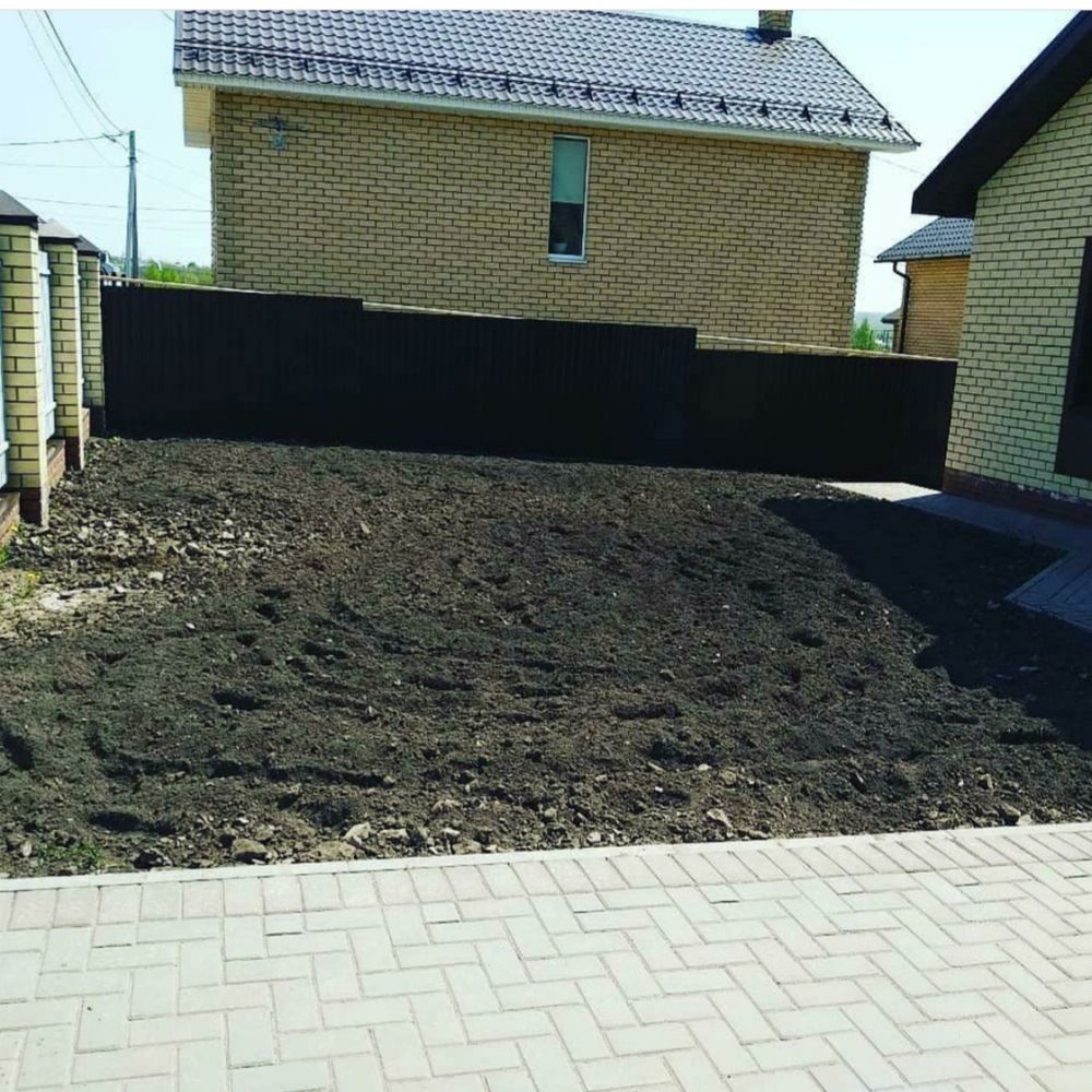 Газон зеленый  сочный  газон