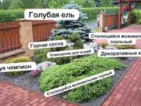 Ланшафтный дизайн