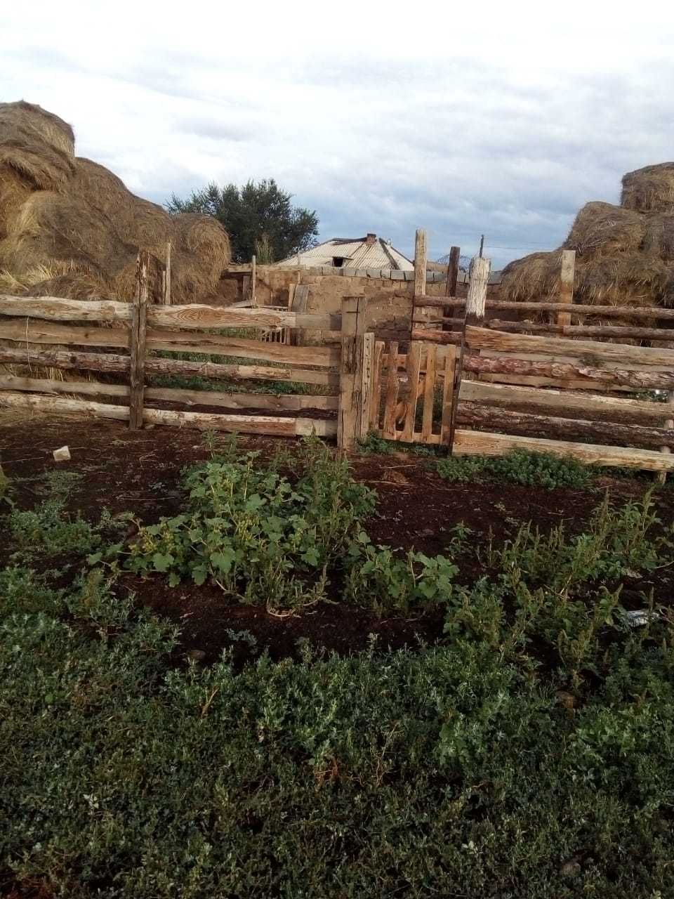 Продам или обменяю дом с базой под К/Х