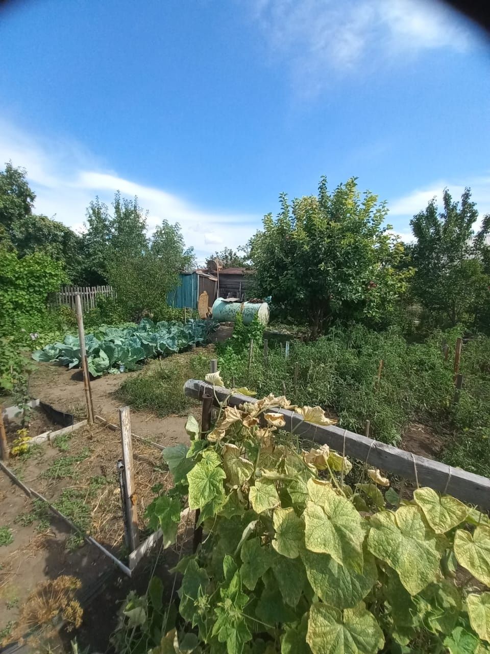 Продам дачу в садоводстве Иртыш