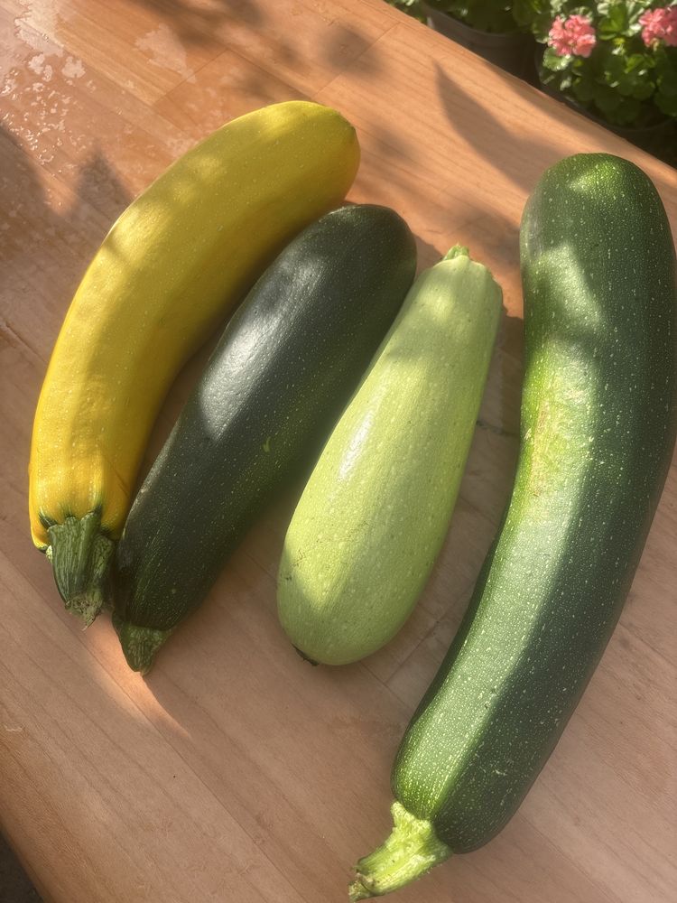 Продам дачные яблоки