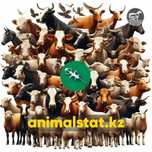 Чип для животных Шымкент чипирование микрочип AnimalStat идентификация