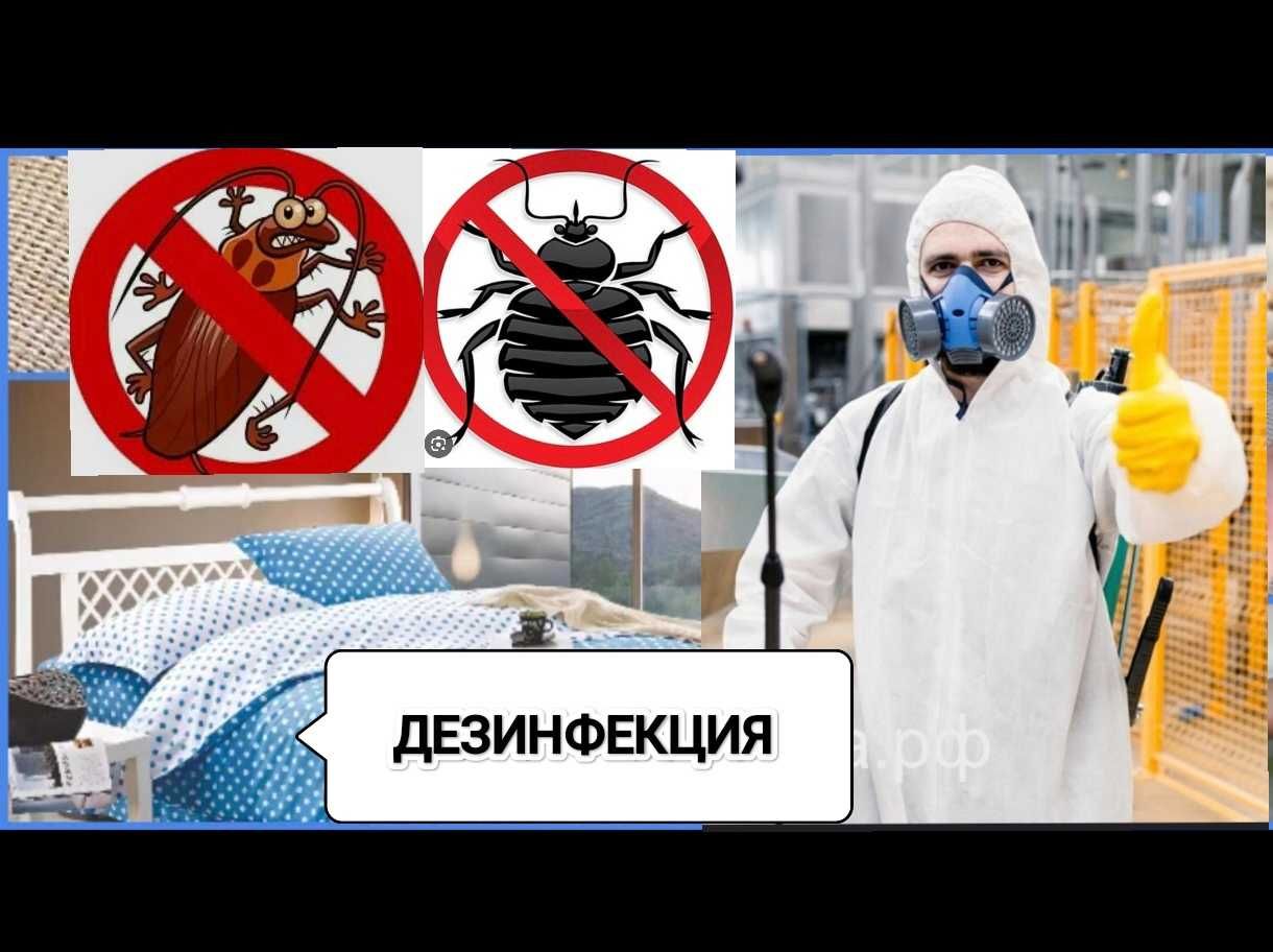 Профессиональная отрава д.е.з.и.н.ф.е.к.ц.и.я.  клопы тараканы блохи