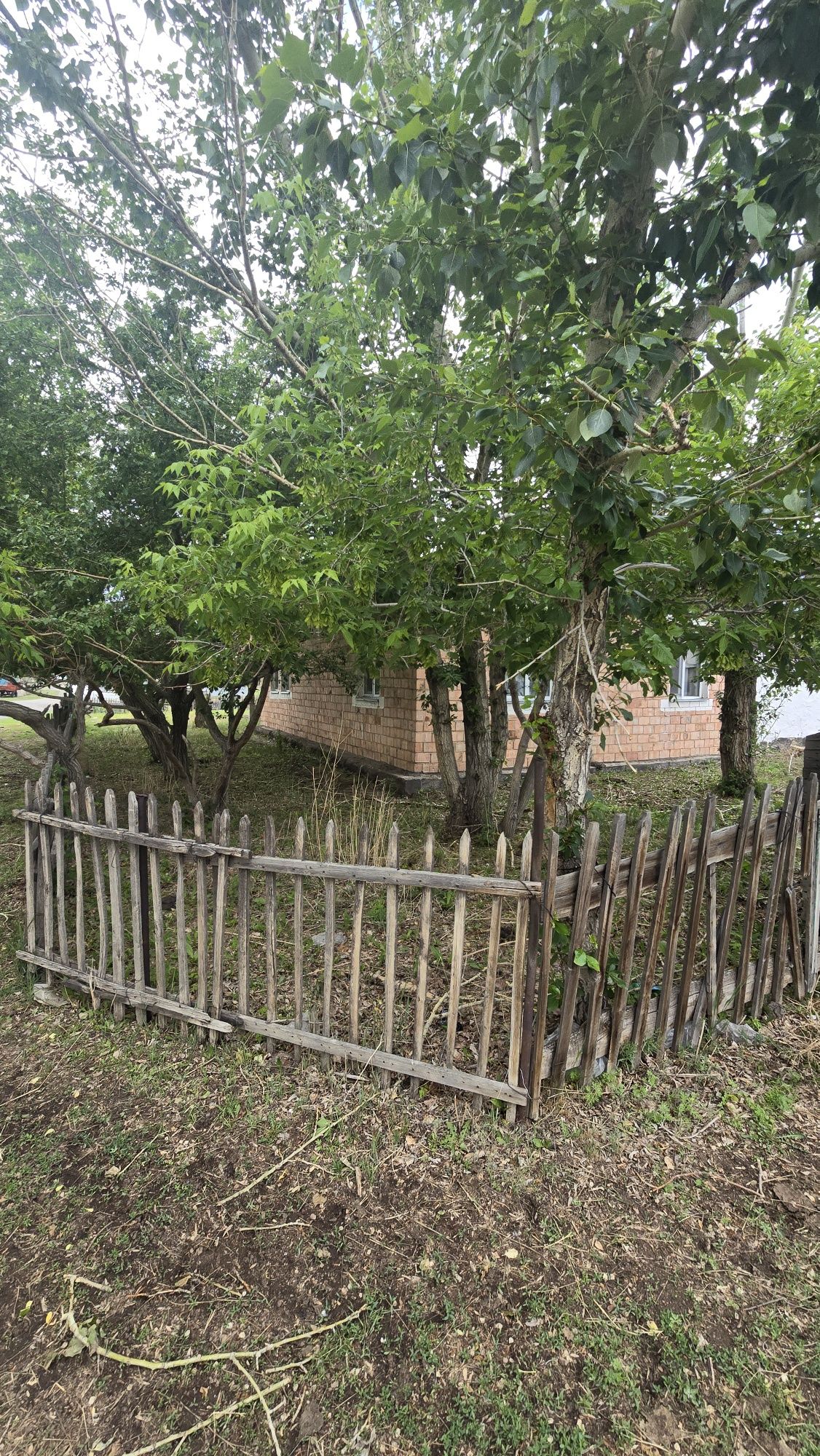 Продаю дам Егіндібұлак