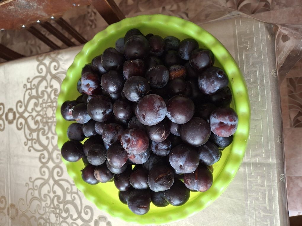 Дом и сад  продам