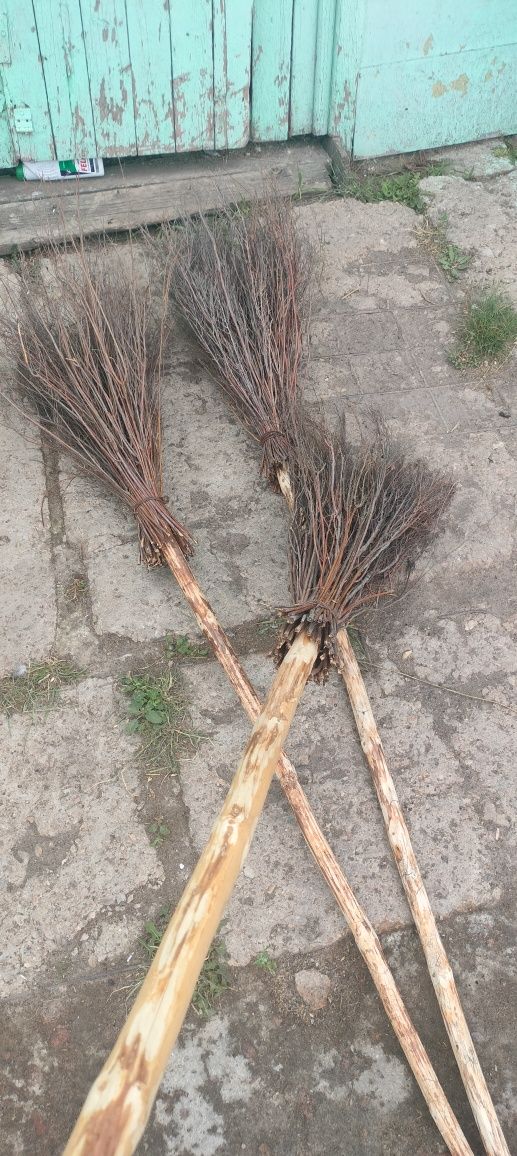 Продаю веники из тобылгы
